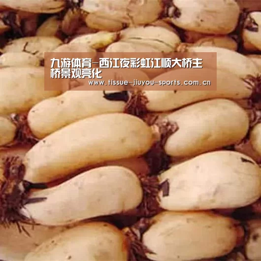 九游体育-西江夜彩虹江顺大桥主桥景观亮化