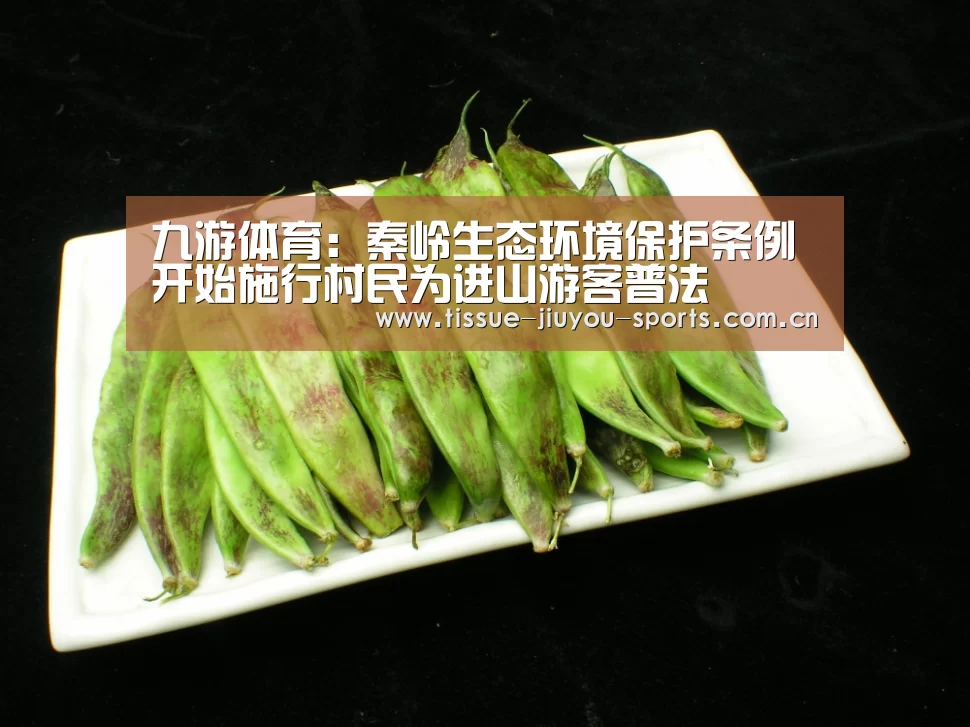 九游体育